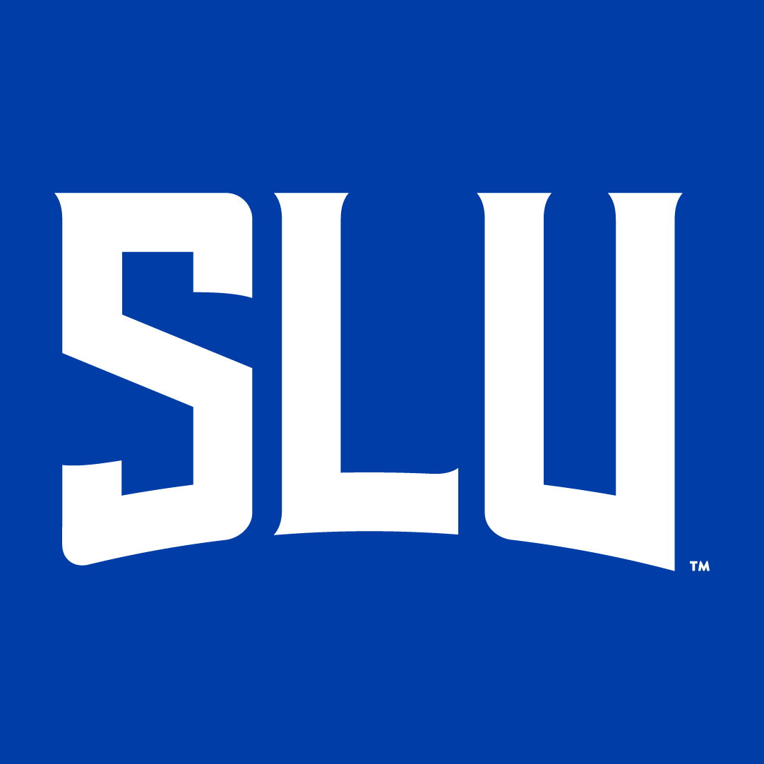 Saint Louis Billikens 2015-Pres Wordmark Logo diy DTF decal sticker